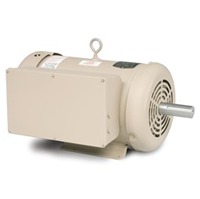 Dairy_Vacuum Pump Motors