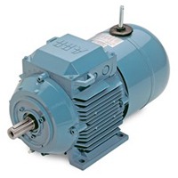 Brake Motors