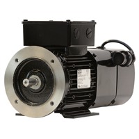 IEC Motors