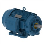 2021_WEG Severe Duty Motors