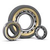 INSOCOAT Bearings