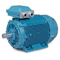 Permanent Magnet Motors