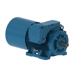 2021_WEG Brake Motors