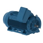 2021_WEG Cast Iron TEFC Motors