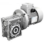Worm Gear Reducers VSF Series