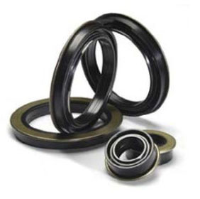 Dichtomatkik_radial shaft seals