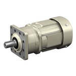 Altax Neo Gearmotor