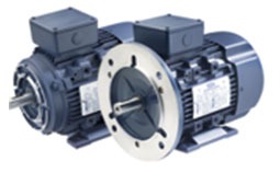 General Purpose Low Voltage IEC Motors