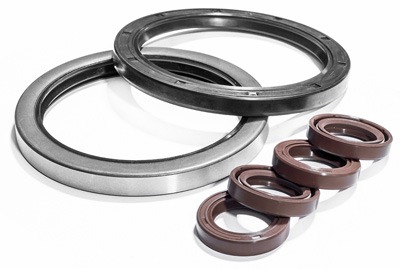 Dichtomatik outside rotary shaft seals