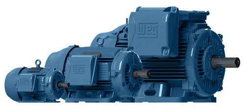 WEG Crusher Duty Motor